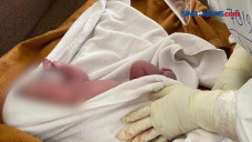 Bayi Perempuan Lahir...