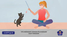 Tips Merawat Hewan Peliharaan...