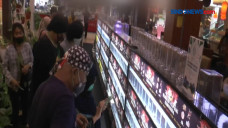 Cantiknya Aneka Ikan...