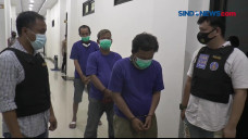 Tiga Calo Rapid Test...