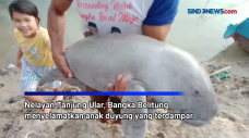 Nelayan Bangka Belitung...