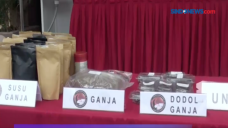 Polisi Gagalkan Peredaran...