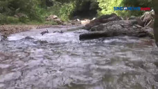 Wisata Surga Tersembunyi...