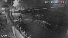 Viral, Detik- Detik...