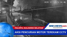 Aksi Pencurian Motor...