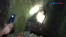 Video Viral Maling Ayam...