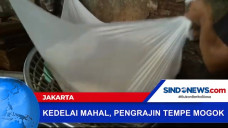 Akibat Kedelai Mahal,...