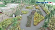 Taman 1.000 Bunga Tepi...