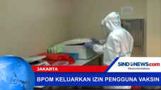 Pernyataan Kepala BPOM,...