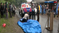 Pengendara Motor Tewas...