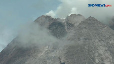 Gunung Merapi Muntahkan...