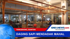 Harga Daging Sapi Mendadak...