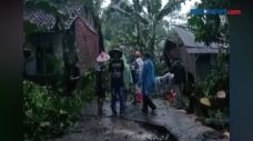 Angin Puting Beliung...