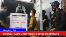 Ribuan Dosis Vaksin...