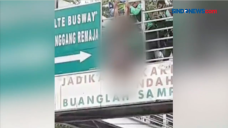 Wanita Hamil Mencoba...