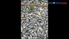 Cuaca Ekstrem, Puluhan...