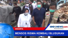 Mensos Risma Kembali...