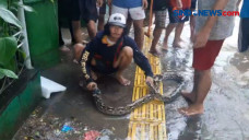 Diduga Terbawa Arus...