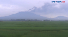 Dampak Erupsi Gunung...