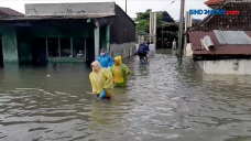 Banjir Kaligawe Jalur...