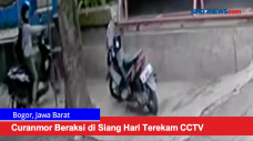 Curanmor Beraksi di...