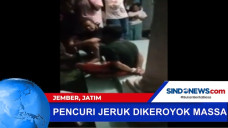Kepergok Mencuri Jeruk...