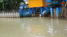 Petugas UPK Tewas Tenggelam...