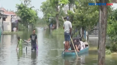Banjir Masih Rendam...