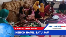 Heboh Crytic Pregnancy,...
