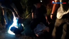 Aksi Kejar-kejaran Warnai...