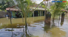 Dua Pekan Banjir Masih...