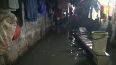Banjir Setinggi 50 Cm...