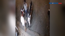 Terekam CCTV Pelaku...