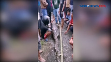 Tak Bisa Bergerak, Ular...