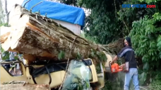 Mobil Truk di Bali Tertimpa...