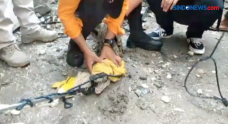 Ancam Pemiliknya, Buaya...