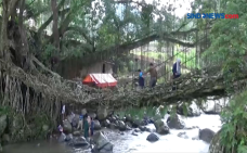 Unik! Jembatan Berusia...