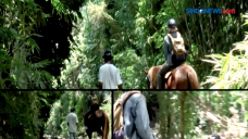 Bale Kuda Stable, Wisata...