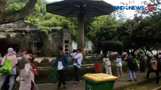 Berwisata Murah ke Ragunan...