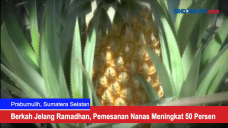 Berkah Jelang Ramadhan,...
