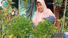 Manfaatkan Gang Sempit...