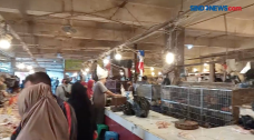 Harga Daging Sapi hingga...