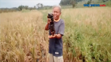 Tumpahan Minyak Mentah...