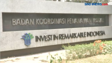 KADIN Sambut Baik Pembentukan...