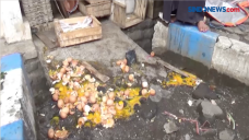 Pedagang di Probolinggo...
