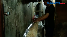 Harga Kacang Kedelai...