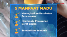 Banjir Berkah Peternak...