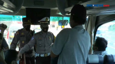 Diputar Balik, Bus Pariwisata...