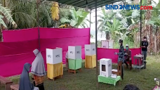 PSU Pilgub Jambi, Bawaslu...