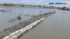 Banjir Rob Terjang Sidoarjo,...